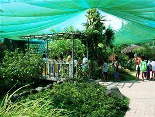 Pineapple Island Resort Daet Ngoại thất bức ảnh